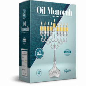 Silver Plated OIl Menorah 11 30661
