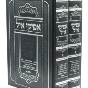 Afikei Ayol 2 Vol אפיקי איל - שו"ת שנאמרו בשיעורי הגראי"ל שטיינמן
