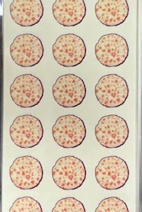 Pesach Stickers- Matza