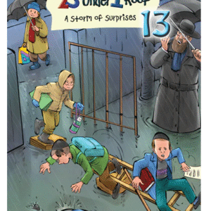 23 Under 1 Roof: A Strom of Surprise - Volume 13