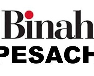 Binah PESACH
