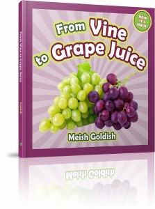 From Vine to GrapeJuice