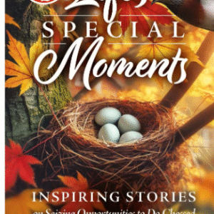 Life's Special Moments