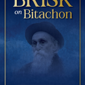 Brisk on Bitachon