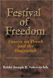 Festival Of Freedom-Essays On Pesach And The Haggadah