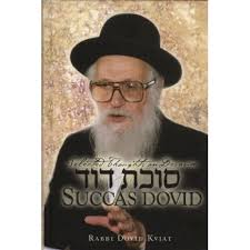 Succas Dovid 2