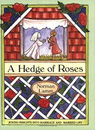A hedge Of Roses