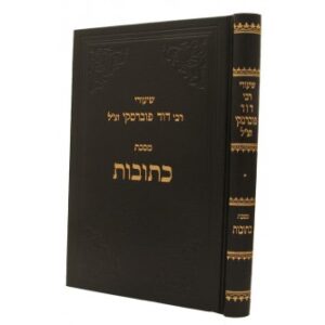 שיעורי ר' דוד פוברסקי- כתובות- מדף ב עד טו