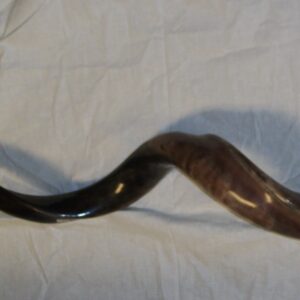 shofar37