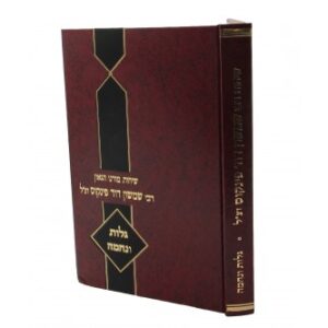 שיחות רבי שמשון דוד פינקוס - גלות ונחמה