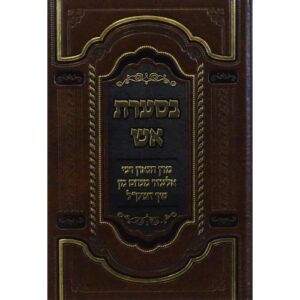 בסערת אש - מרן הגאון רבי אלעזר מנחם מן שך