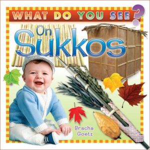 What do you see on Sukkos