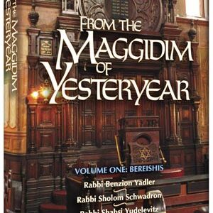 From the Maggidim of Yesteryear - Bereishis