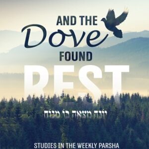 and the Dove Found Rest Vol 1