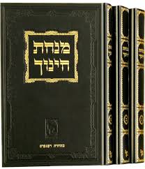 מנחת חינוך Minchas Chinuch S2