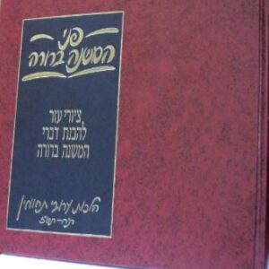 פמי המשנה ברורה עירובי