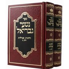 נטעי גבריאל הלכות אבלות ב׳כ - Netai Gavriel Aveilas 2 vol