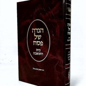 בית השואבה הגדה של פסח