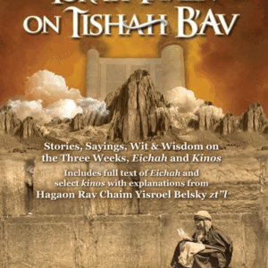 Torah Tavlin on Tisha B'av