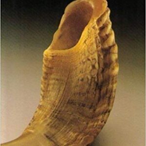 Until the Mashiach -The Life of Rabbi Nachman