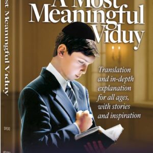 A Most Meaningful Viduy