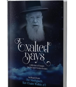 Exalted Days - Elul Yomim Noraim