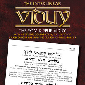 INTERLINEAR VIDUY/CONFESSION (Paperback)