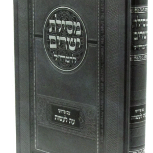 Mesilas Yesharim Eis Laasos מסילת ישרים עת לעשות