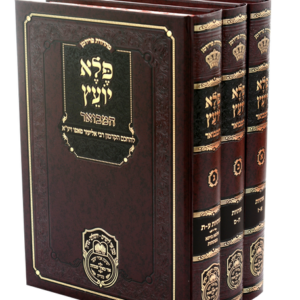 Peleh Yoetz Hamevoar 3 Vol פלא יועץ המבואר - ג''כ