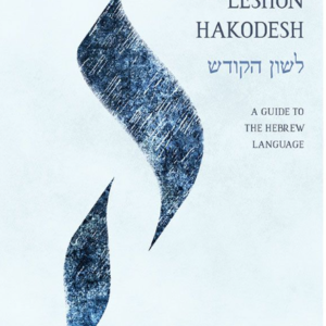 Unlocking Leshon HaKodesh