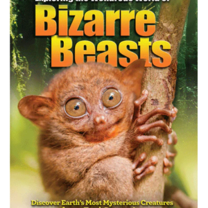 Exploring the Wondrous World of Bizarre Beasts