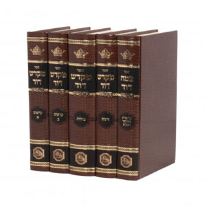 Mikdash Dovid Hameor 5 Vol מקדש דוד
