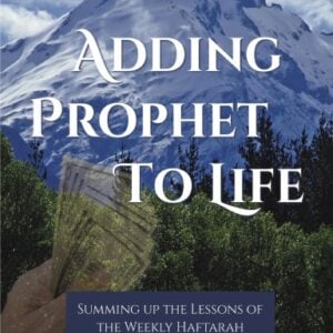 Adding Prophet To Life