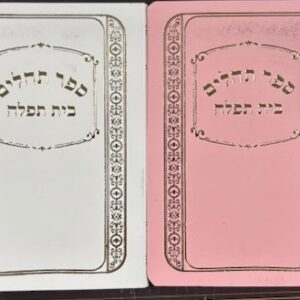 Tehillim Bais Tefillah SC small pink