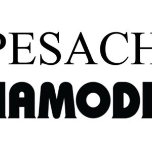 Hamodia Pesach Edition