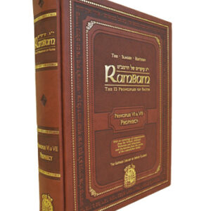 Rambam's 13 Principles of Faith VI & VII