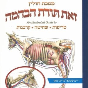 Zos Toras HeBehaima - Chullin