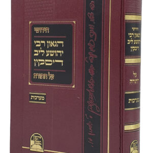 Chidushei Rav Yehoshua Leib Diskin Al Hatorah חידושי רבי יהושע ליב דיסקין על התורה