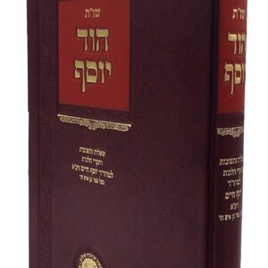 Hod Yosef שו"ת הוד יוסף