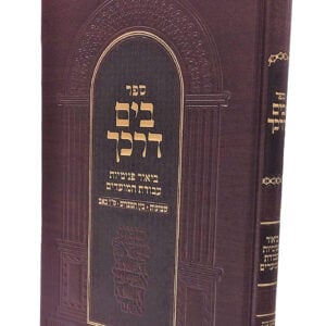 Byam Darkecha Shevous- Bein Hamitzarim בים דרכך שבועות-בין המצרים-ט"ו באב