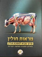 Maros Chulin מראות חולין-המחשות למסכת חולין מבית קול הלשון