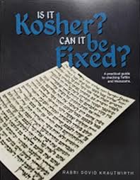 Is It Kosher? Can It Be Fixed? (Paperback)