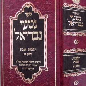 Nitei Gavrial Hichos Shabbos Vol 1 נטעי גבריאל הלכות שבת חלק א