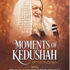 Moments of Kedushah