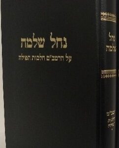 Nachal Shlomo Vol 1 נחל שלמה - רמב"ם הלכות תפילה ח"א