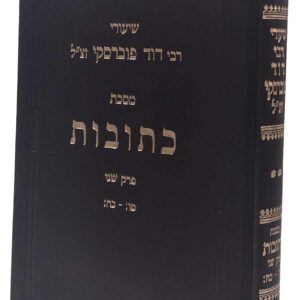 Shiurei Rav Dovid Kesuvos שיעורי רבי דוד פוברסקי כתובות טו:-כח: