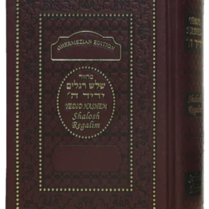 Machzor Yedid Hashem Interlinear Shalosh Regalim