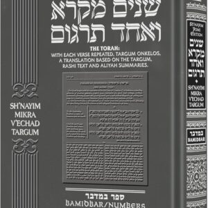 Shnayim Mikra V'Echad Targum - Bamidbar