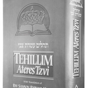 Tehillim Ateres Tzvi, Silver