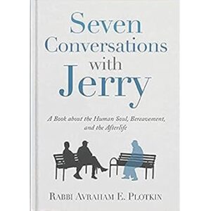 Seven Conversations with Jerry - A Book about the Human soul, Bereavement, and the Afterlife